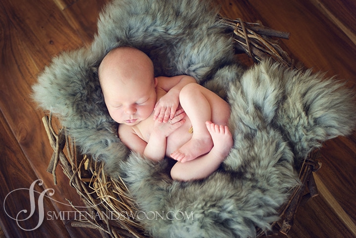 newborn-photography-in-boulder