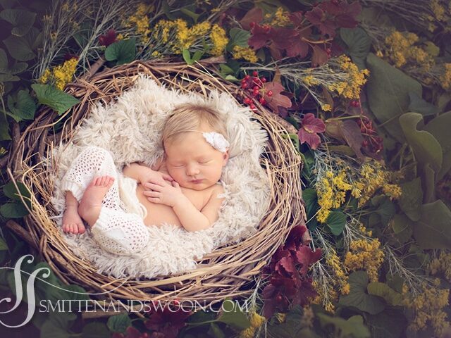 newborn-photographer