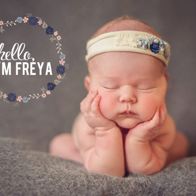 Boulder-Newborn-Photographer