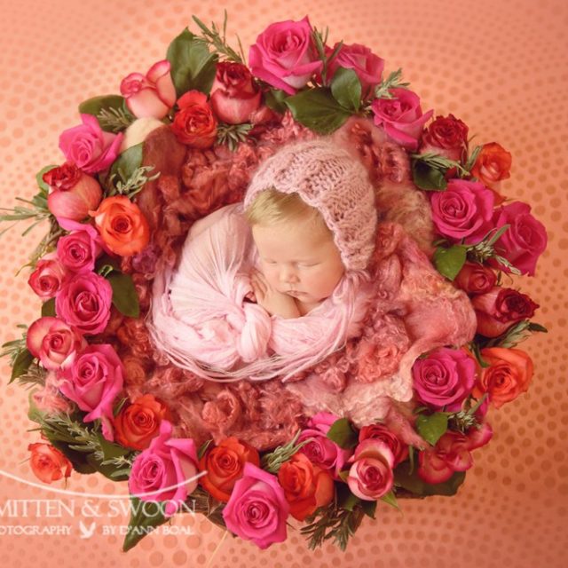 denver-newborn-photographer
