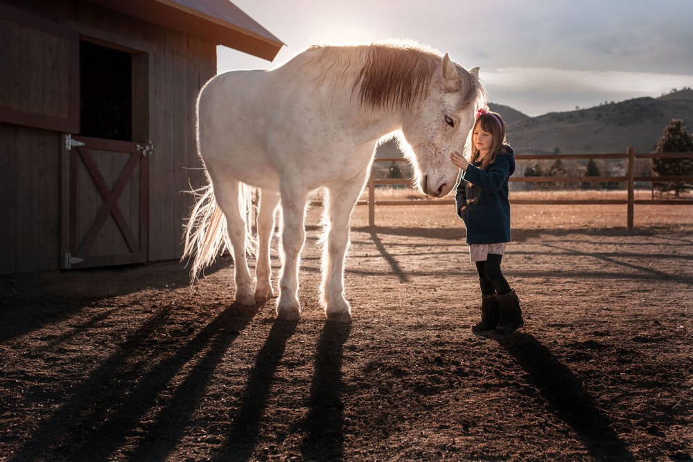 little girl petting her white horse by a barn at sunset
