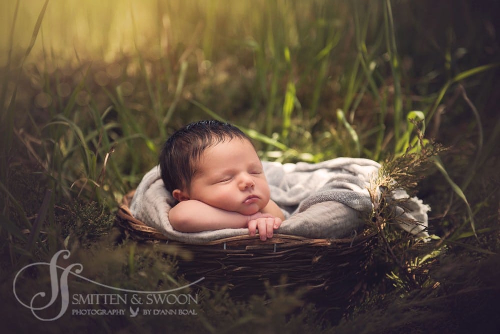baby boy sleeping in the garden {boulder newborn photographer}