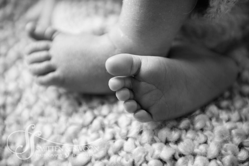 macro newborn toes {boulder newborn photographer}