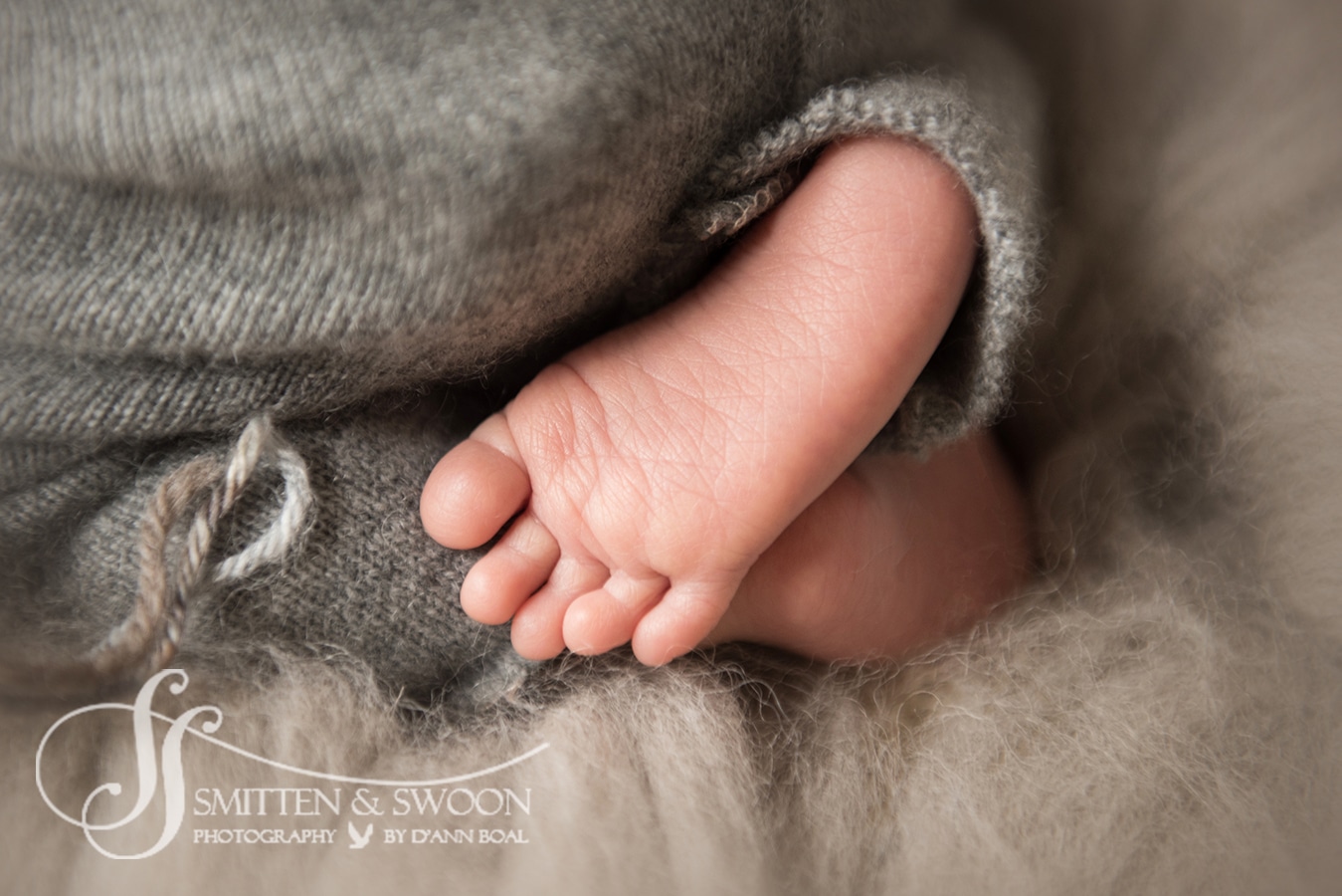 baby toes - boulder newborn photographer