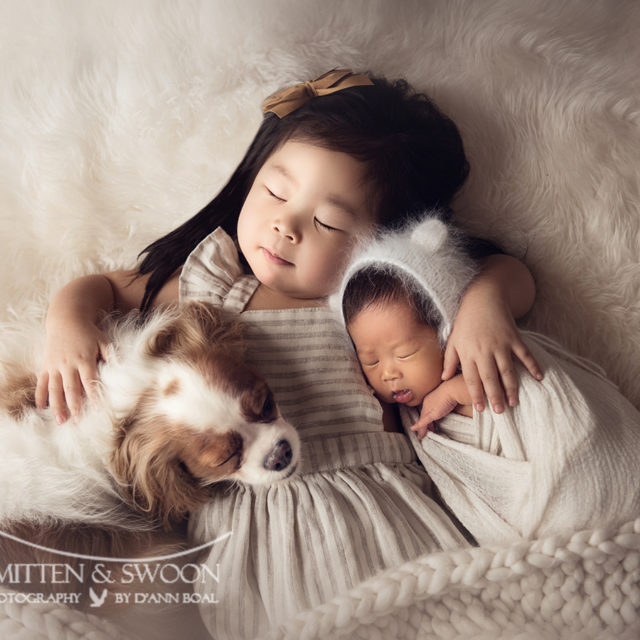 newborn sister and king charles cavalier sleeping with newborn baby brother - boulder photographer
