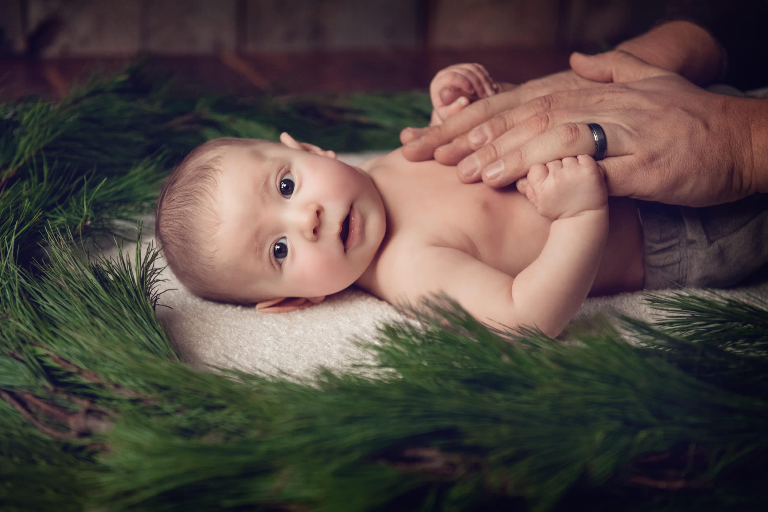 baby boy with evergreen and dad's hands (boulder photographer)