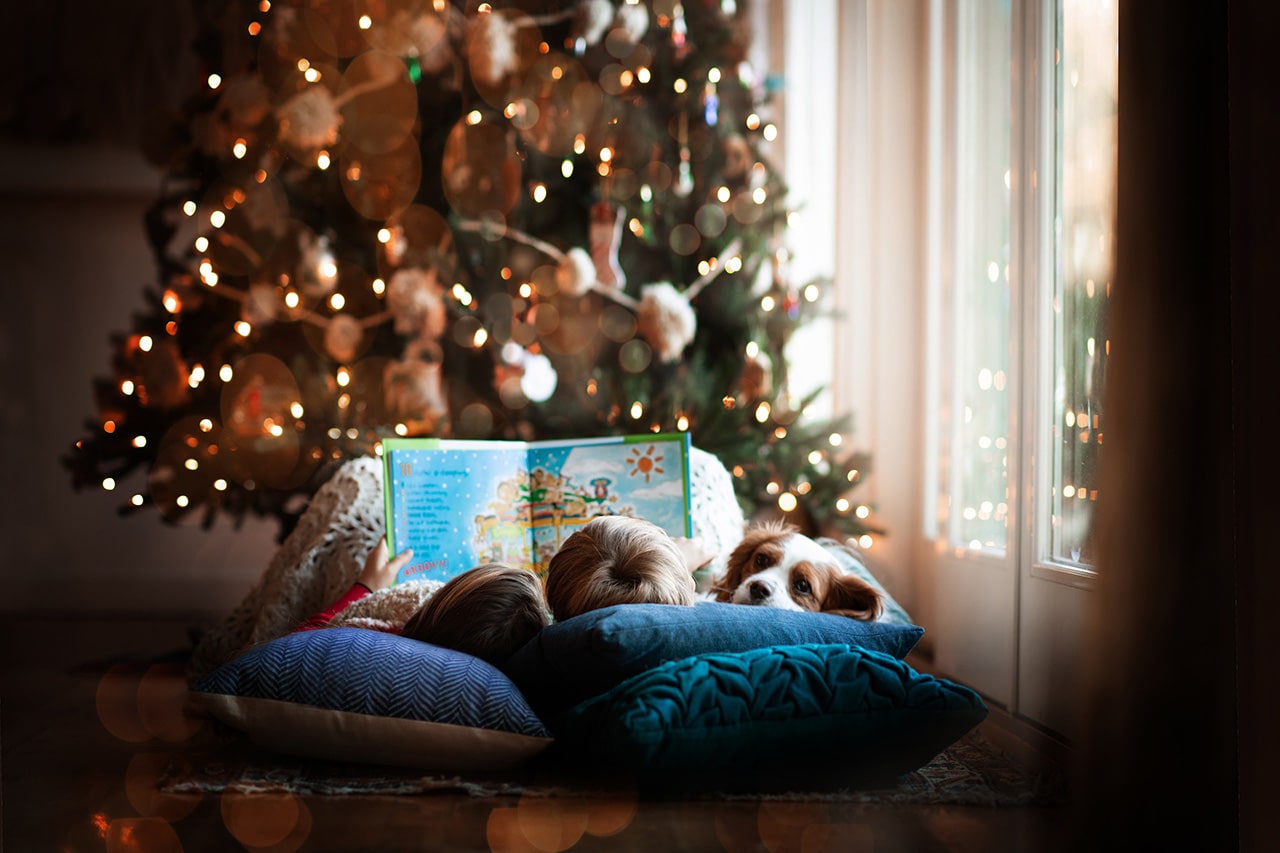 two children reading book by the Christmas tree with puppy next to them (boulder photographer)