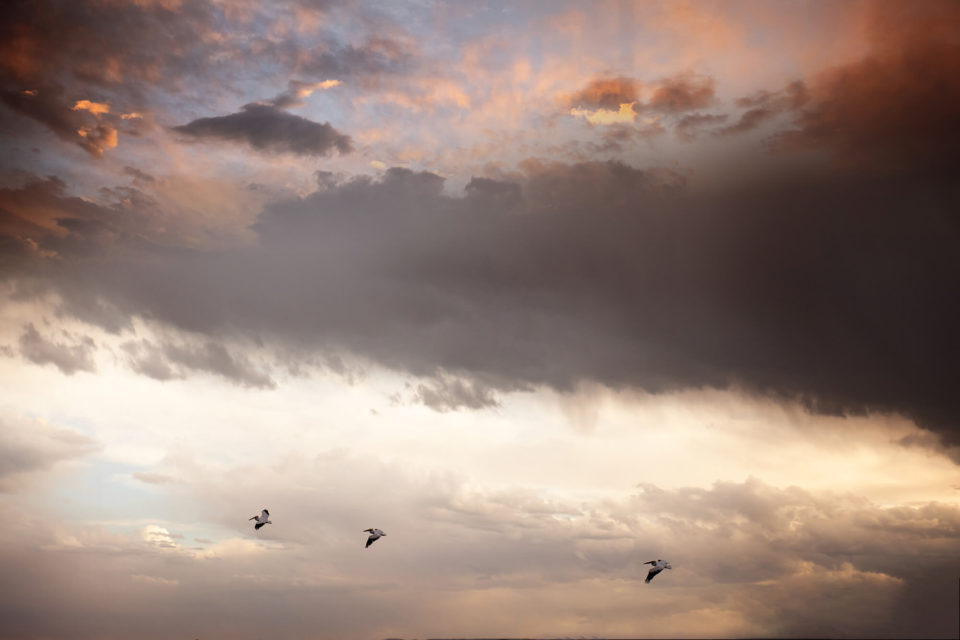 Colorado Skies