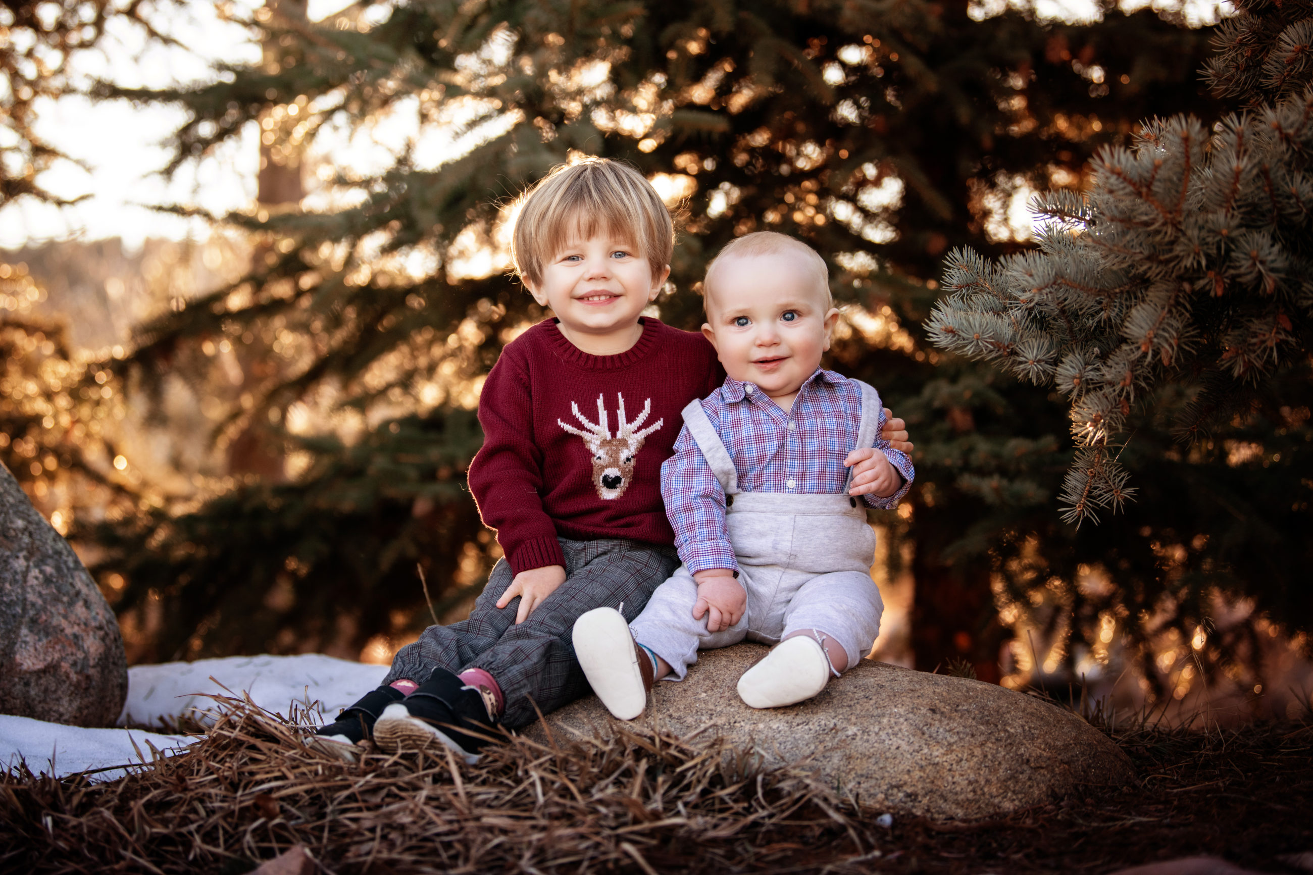 portrait of two brothers sitting on a rock toddler and baby - boulder photographer