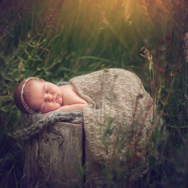 newborn baby girl sleeping in garden Boulder Photographer | Newborn & Maternity Session